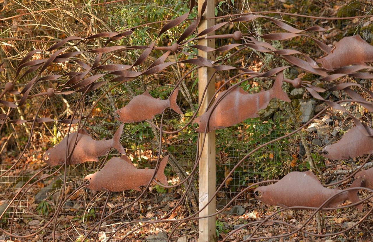 מפרץ' קוויצ'ן Salishan Tree House Suite מראה חיצוני תמונה